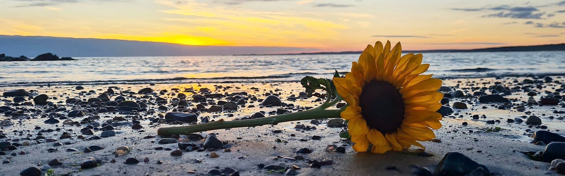 Send flowers in Athens Online Florist