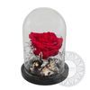 forever rose