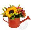 Little sweet watering can with flowers