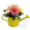 Yellow watering can with sweet flowers