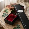 Red rose in a black box