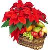 /a/f/af217_800501-send-basket-arrangement-with-fruits-d.jpg