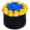 /a/f/af218_700011_black-box-blue-yellow-roses.png