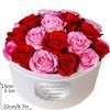 /a/f/af444017_wh_send-red-and-pink-roses-in-a-box-22-13.jpg