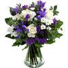/a/f/af700271_send-white-roses-blue-iris_1-y.jpg