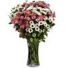 /c/o/colourful-bouquet-of-chrysanthemums_67-ukrania-999116-b.jpg