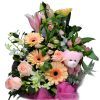 /d/e/deliver-flowers-for-baby-birth-2_b.jpg