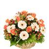 /f/l/flower-basket.jpg