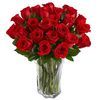 /g/r/graf218_600558_send-24-twenty-four-red-roses-to-athens.jpg