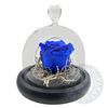 Blue forever rose in mini glass