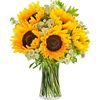 /i/n/in-at-999100_sunny-bouquet-with-sunflowers_3.jpg
