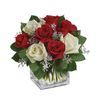 /i/n/in-au-999313-xmas-joy-red-white-roses.jpg