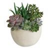 /i/n/in-au-999331-tirari-beauty-succulents-cactus-australia.jpg