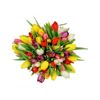/i/n/in-bg-999100-colorful-tulips-bulgaria.png