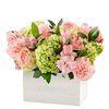 /i/n/in-ca-999222-sweet-charm-bouquet-.jpg