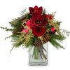/i/n/in-ch-999127-winter-bouquet-amaryllis-switzerland.jpg