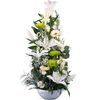 /i/n/in-es-999201_send-flowers-online-spain.jpg