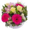 /i/n/in-es-999202_same_day_delivery_flowers_cheap.jpg