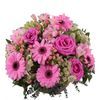 /i/n/in-es-999203_cheap-flowers-free-delivery.jpg