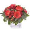 /i/n/in-fi-999101-red-flowers-festive-bouquet-finland.jpg