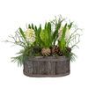 /i/n/in-fi-999103-white-hyacinth-plant-holiday-finland.jpg
