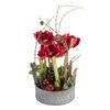 /i/n/in-fi-999104-amaryllis-christmas-delivery-finland.jpg