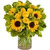 /i/n/in-it-999131-sunflowers-roses-yellow-italy.jpg