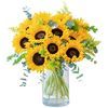 /i/n/in-it-999318-sunflowers-bouquet-send-italy.jpg