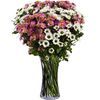 /i/n/in-lt-999116_colourful-bouquet-of-chrysanthemums_lithuania.jpg