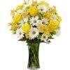 /i/n/in-us-999222_sunny_sentiments_bouquet.jpg