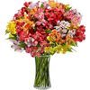 /i/n/in-us-999223_lily_bouquet.jpg