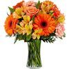 /i/n/in-us-999225_orange_essence_bouquet.jpg