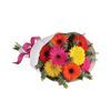 /i/n/int-1769-gerberas-selection-bright-bouquet-international-delivery.jpg