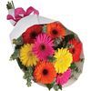 /i/n/int-1769_new-gerberas-selection-bright-bouquet-international-delivery.jpg