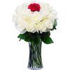 /i/n/int-1774-white-red-roses-romantic-send-international_2.jpg