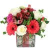 /i/n/int-1806-renaissance-gerberas-hydrangeas-bouquet-delivery.jpg