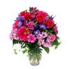 /i/n/int-1808-daisy-charm-iris-delivery-send-bouquet.jpg