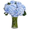 Bouquet of 8 blue hydrangeas