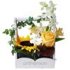 /s/e/send-flowers-online_3_.jpg