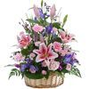 /s/e/send-flowers-to-sidney-inau-999228.jpg