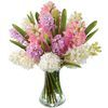 /s/e/send-fresh-flowers-online_1.jpg