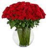 /s/e/sensational_luxury_rose_bouquet_100_24-inch_premium_long-stemmed_roses-inus-999105.jpg