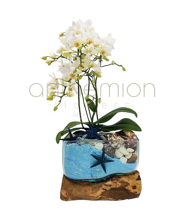 Fine white orchid arrangement