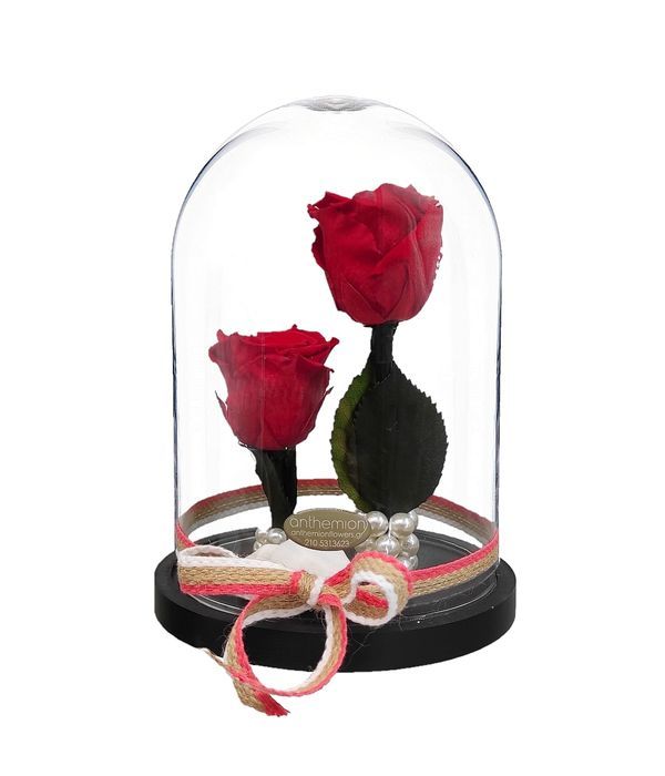 Two Forever roses in glass dome
