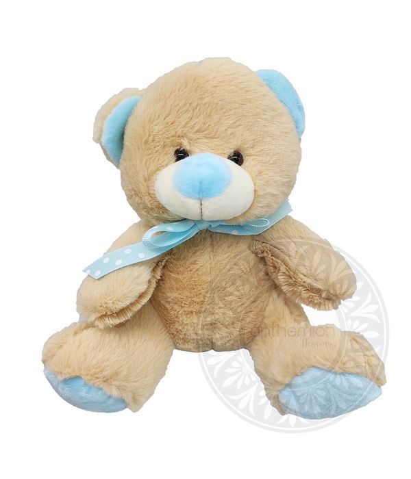 Cute teddy bear with blue colours 20cm