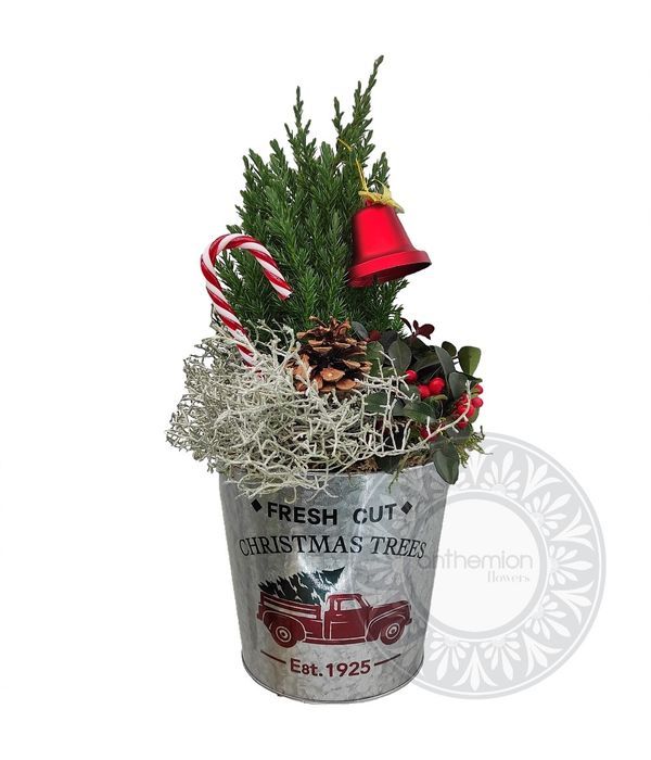 Festive decorative metal bucket with plants