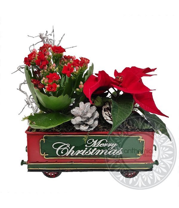 Christmas trailer with plants