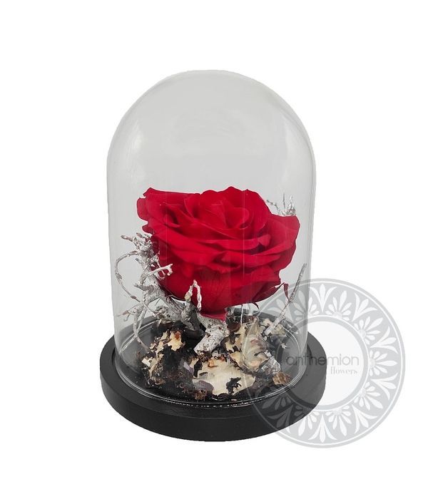 Forever Rose in glass box