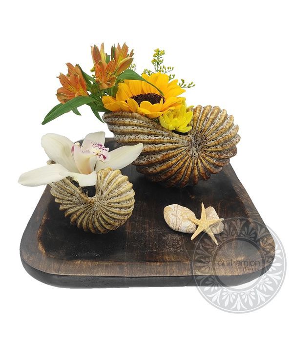 Wooden tray with ceramic shells filled with flowers