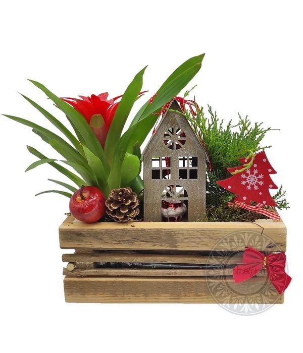 Ξύλινη βάση με φυτά και Χριστουγεννιάτικη διακόσμηση